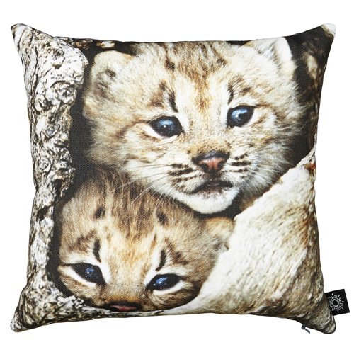 Kinderkissen-Hülle „Baby-Luchse“ von By Nord