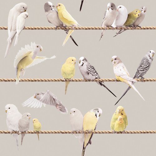 Tapete „Lovebirds grey“ , von Koziel aus Frankreich