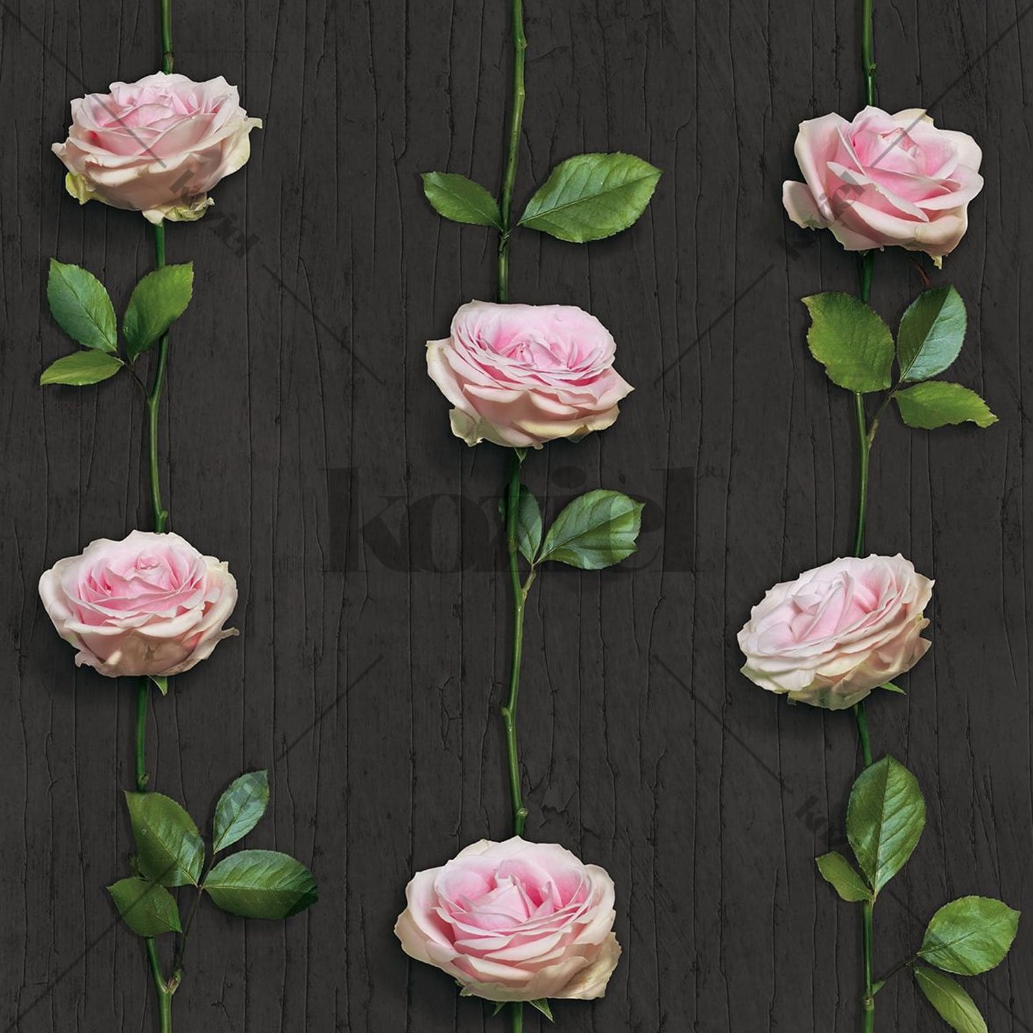 Tapete "Rosen auf dunklem Hintergrund" von Koziel 1