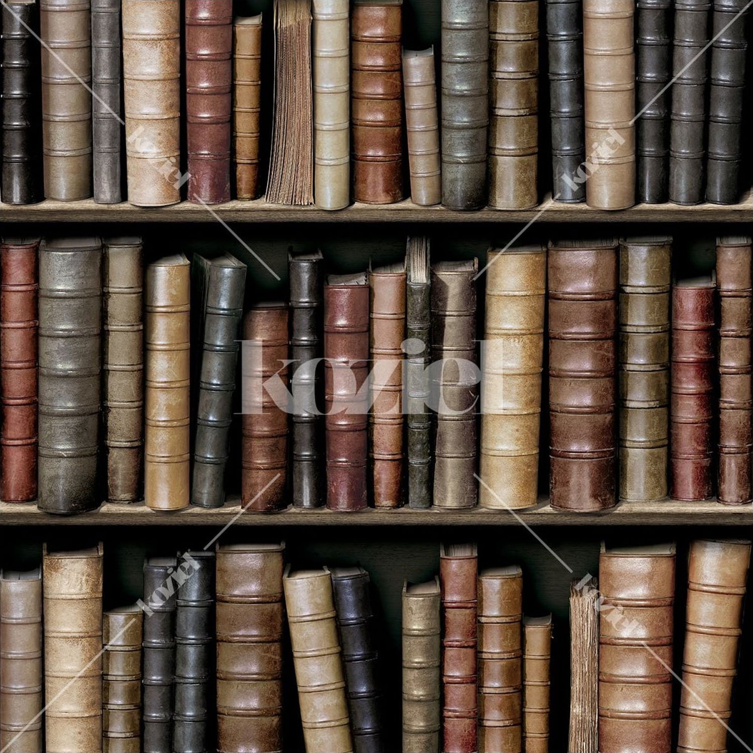Tapete „Bibliothek alte Bücher“, Koziel aus Frankreich