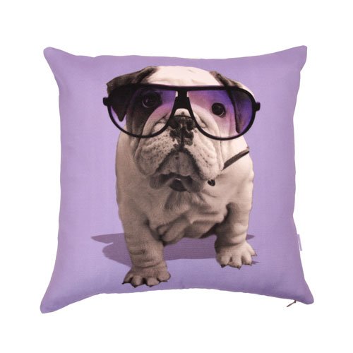 Kissenhülle, „Hund mit Brille“