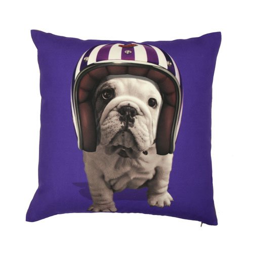 Kissenhülle „Hund mit Helm“, violett